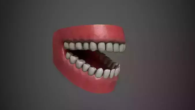 Human teeth - mouth Low-poly 3D model