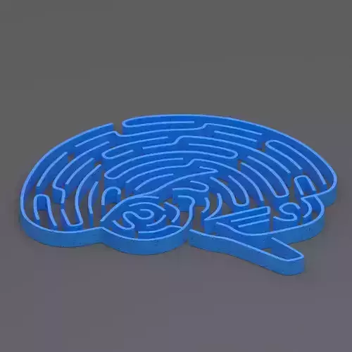 blue brain maze