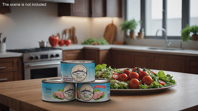 Canned Tuna Chunks 3D model
