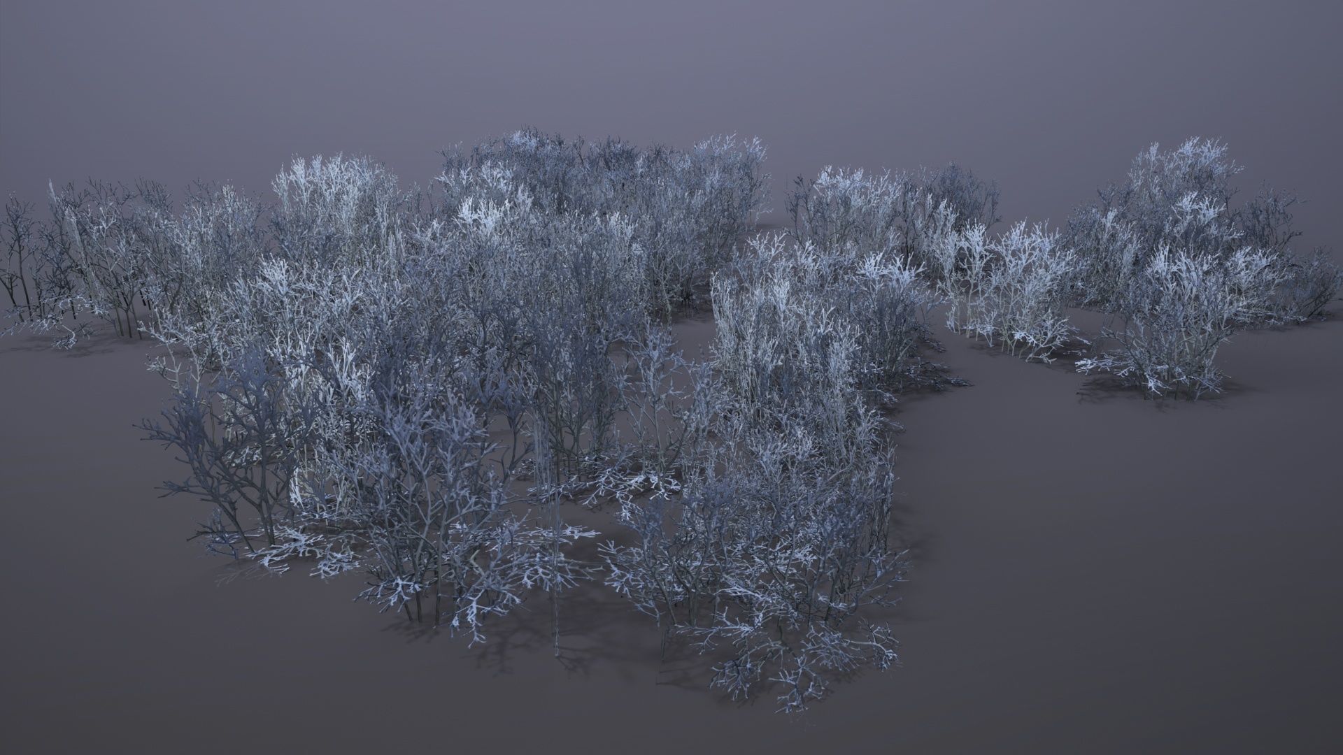 Reindeer Moss Low-poly 3D model_3