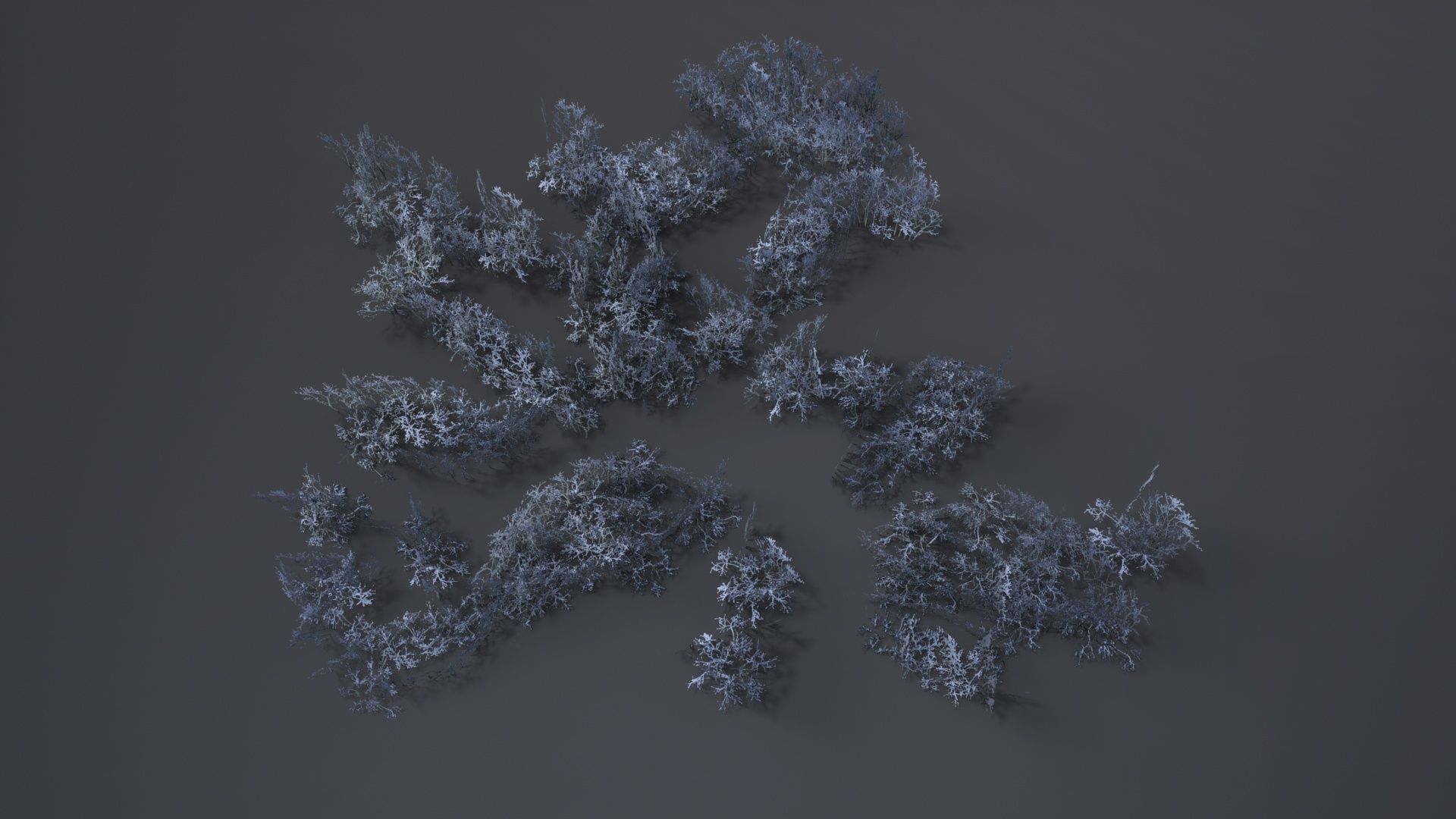 Reindeer Moss Low-poly 3D model_5