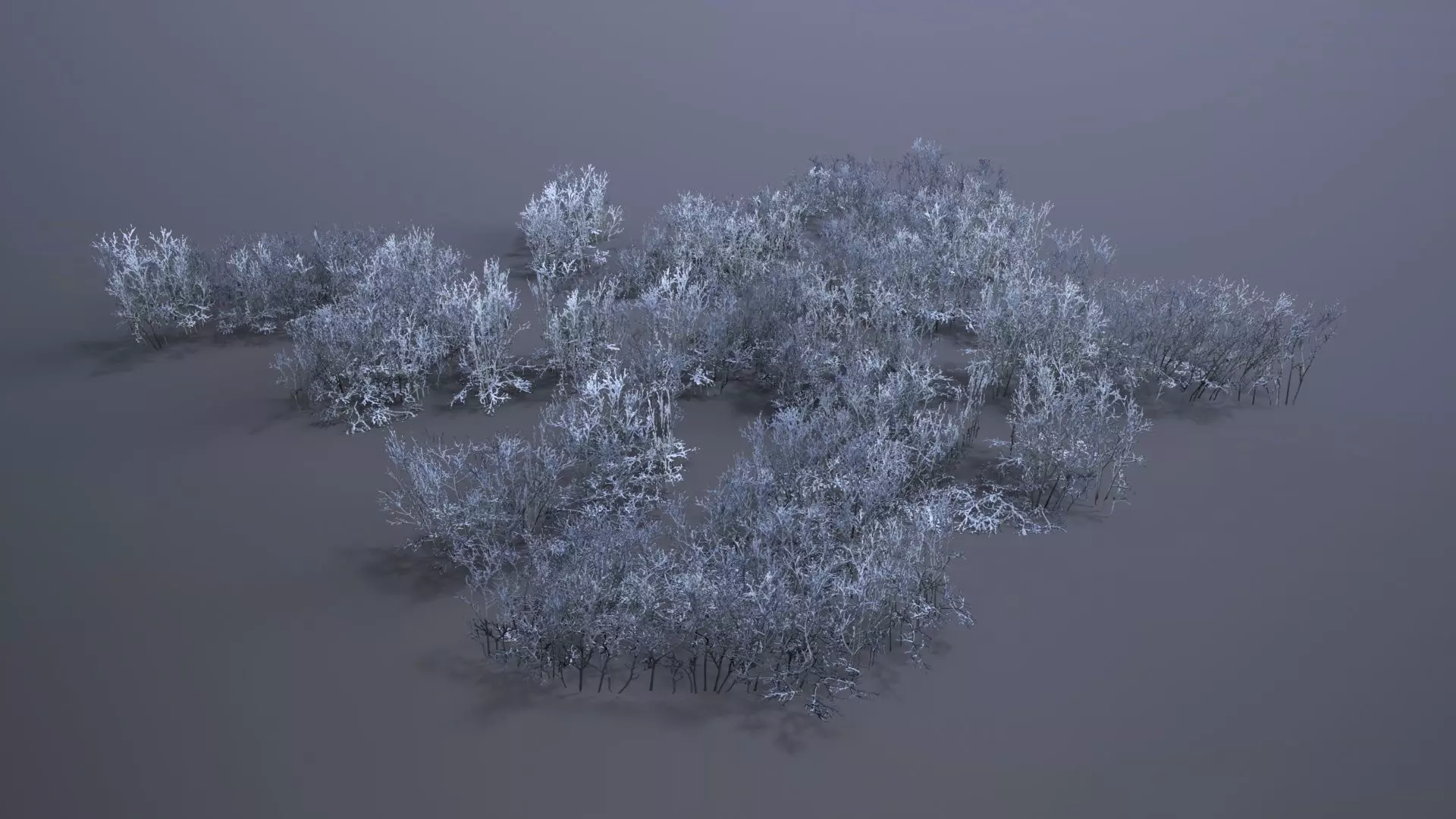 Reindeer Moss Low-poly 3D model_0