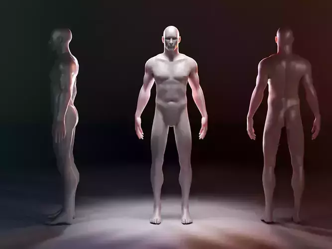 Realistic Rigged Human Male Mannequin Low-poly 3D model