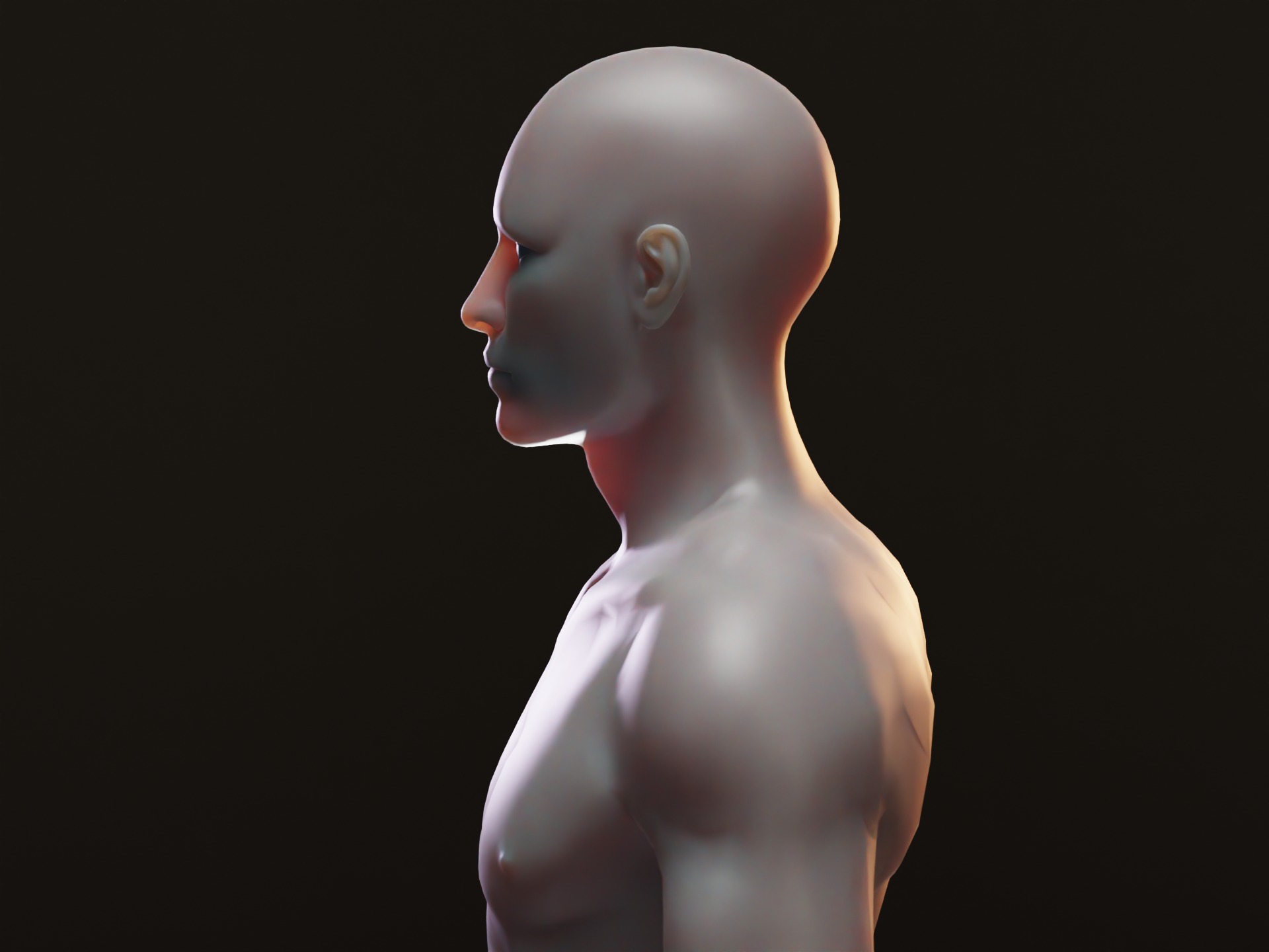Realistic Rigged Human Male Mannequin Low-poly 3D model_7
