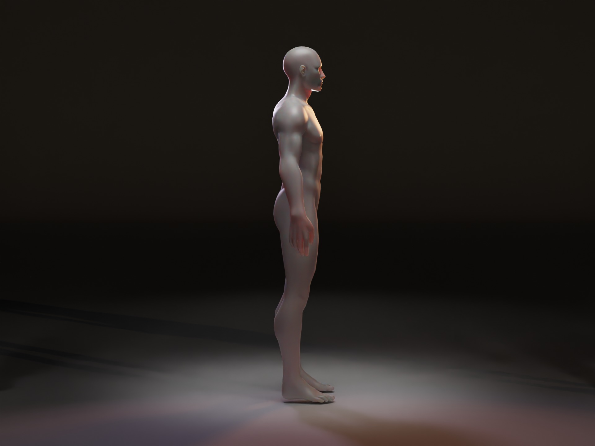 Realistic Rigged Human Male Mannequin Low-poly 3D model_3