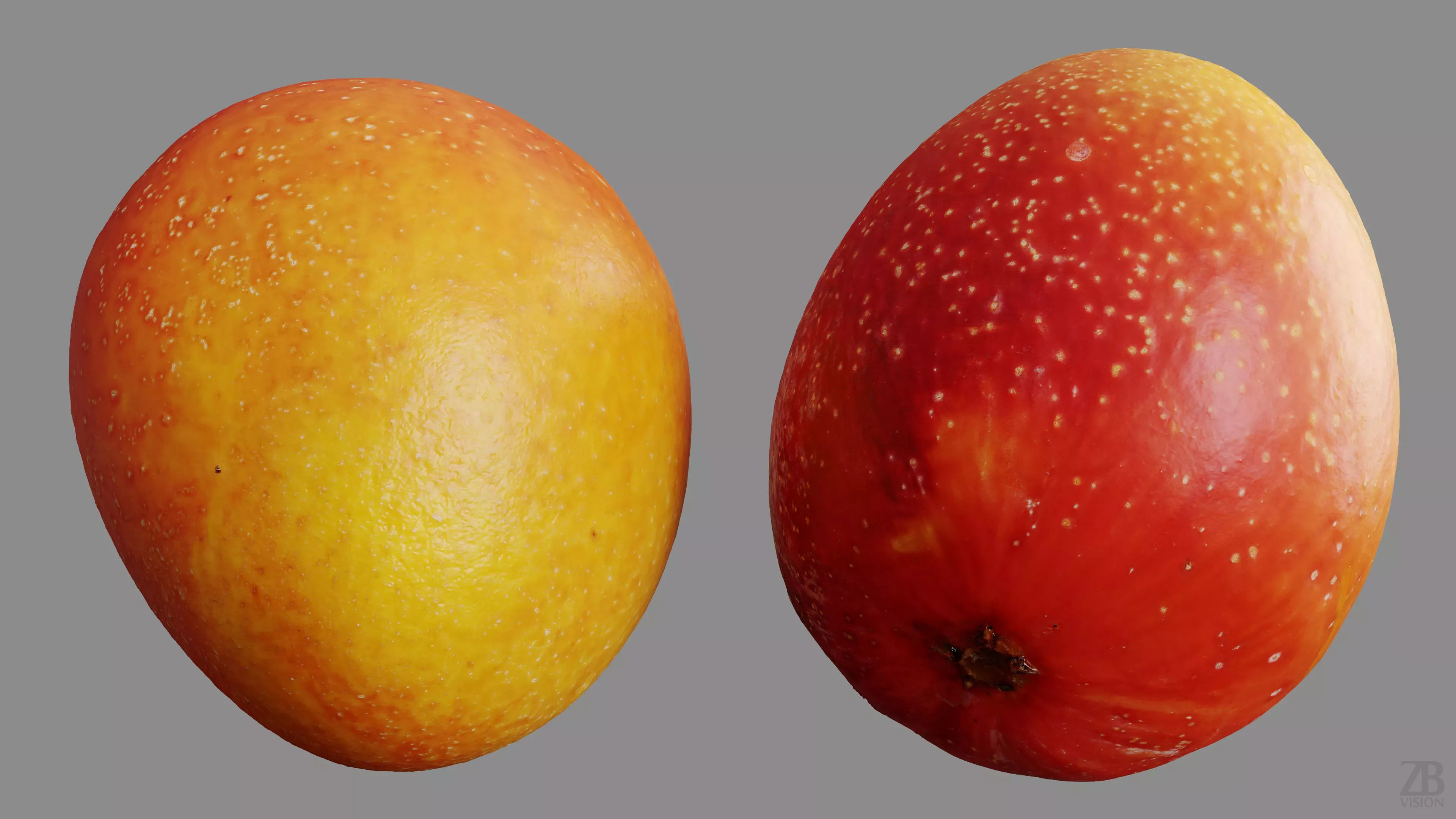 Mango 3D model_9