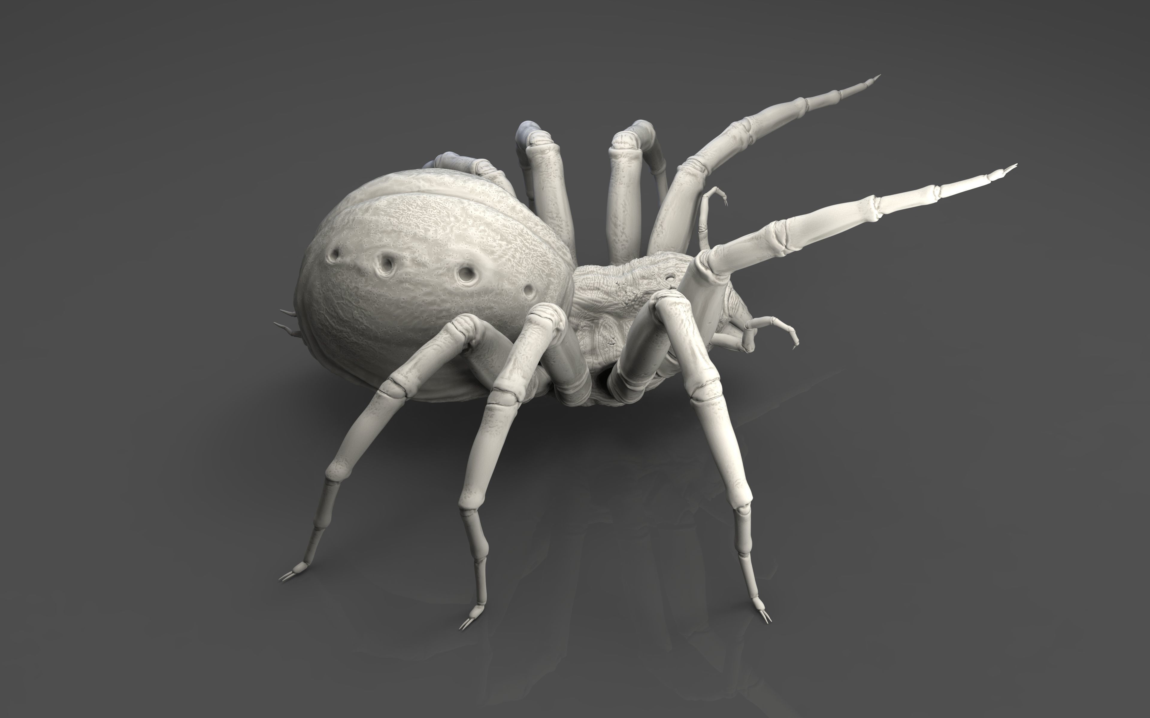 Shelob 3D model_4