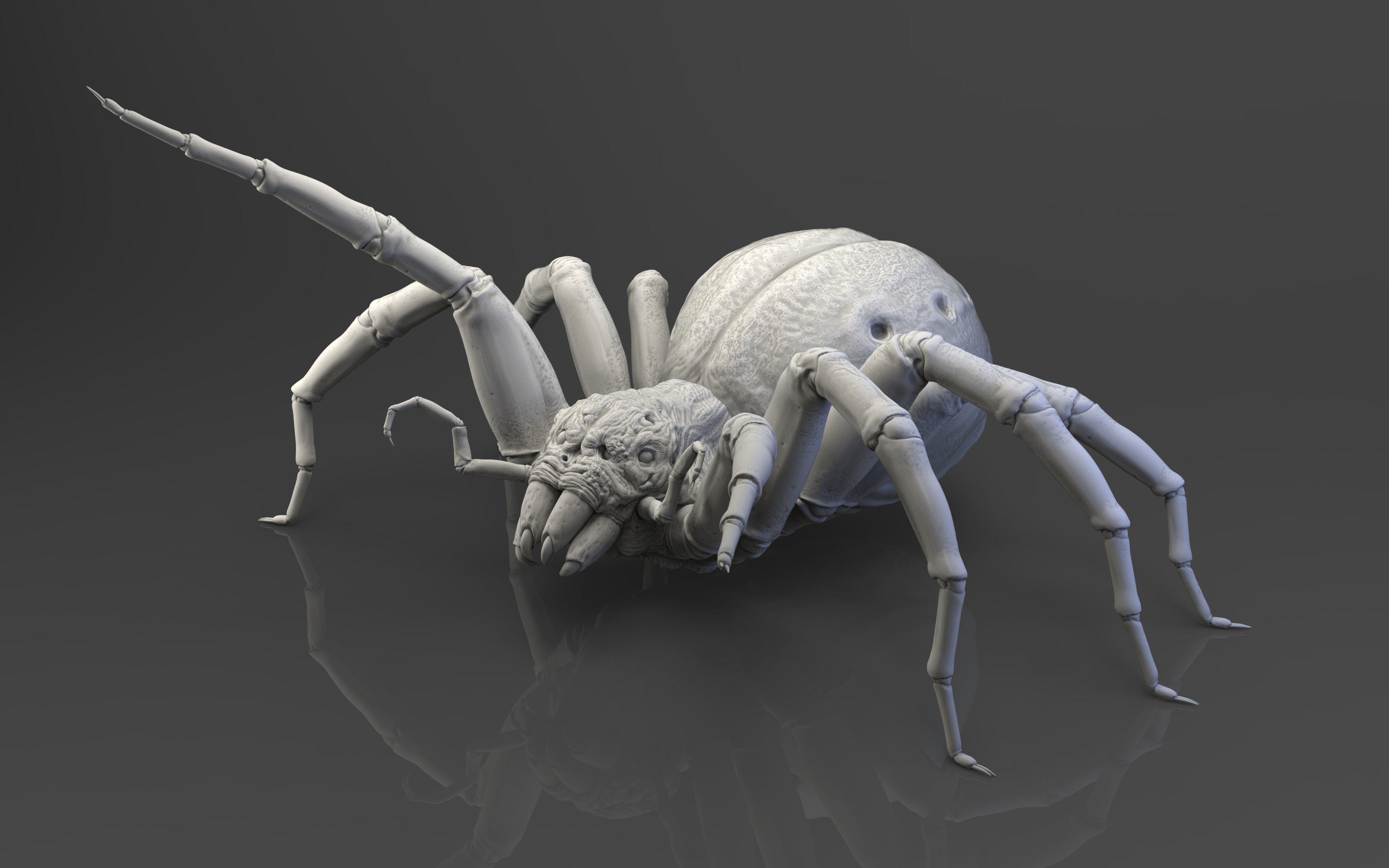 Shelob 3D model_1