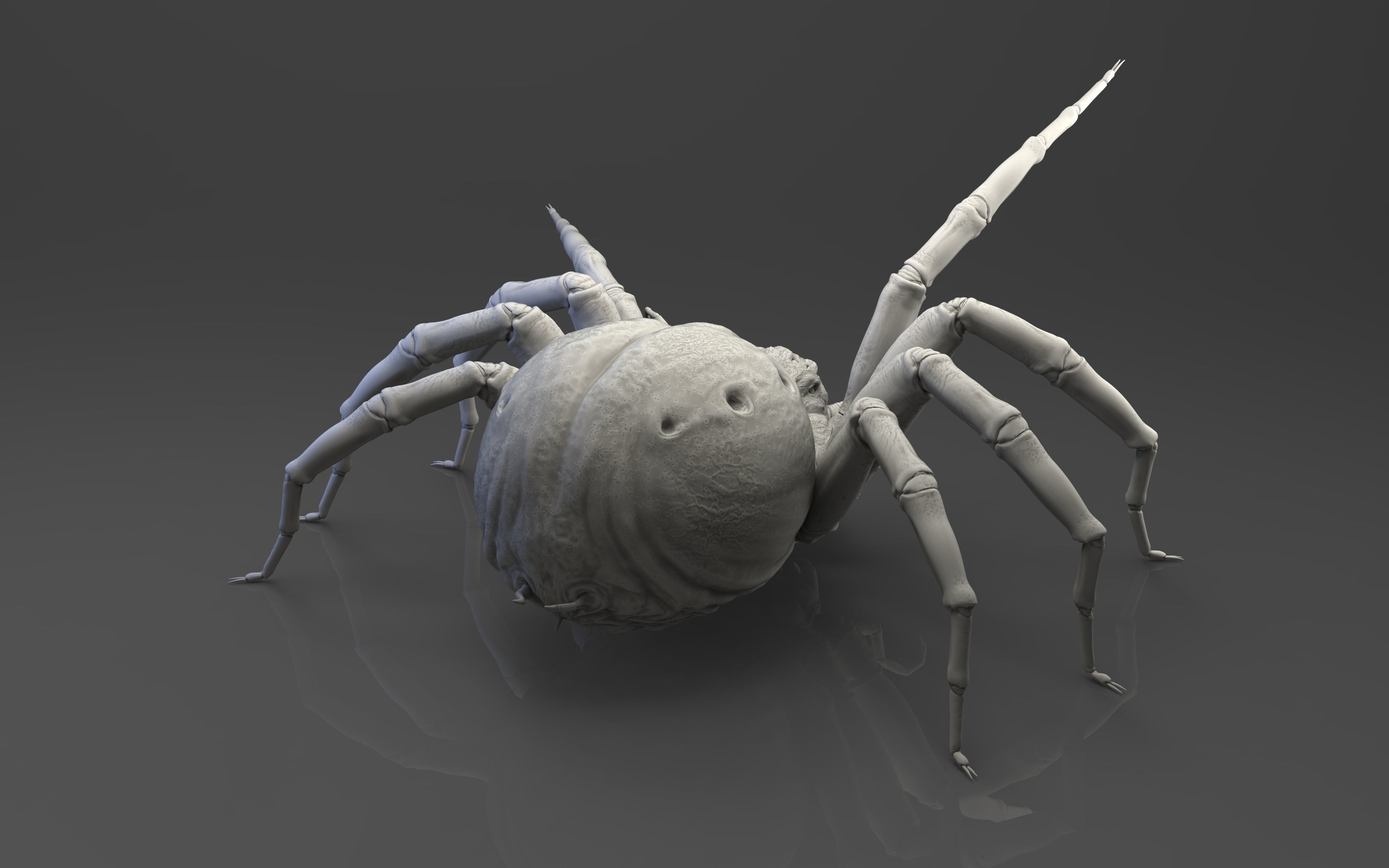 Shelob 3D model_3
