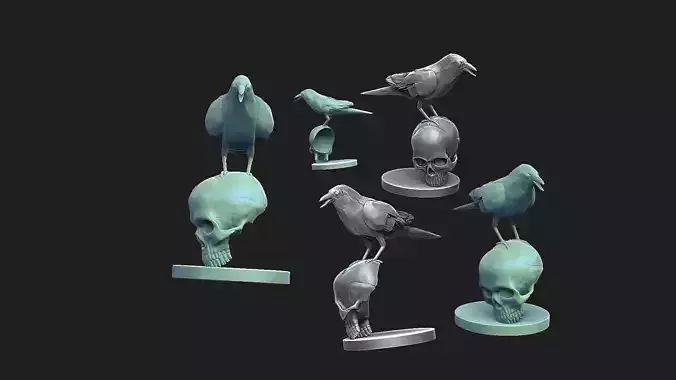 crow model