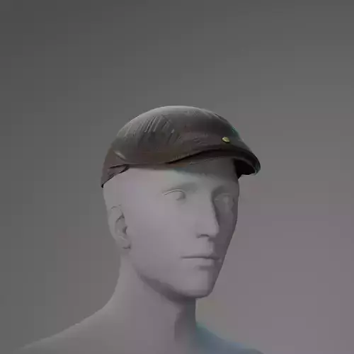 Flat Cap 3D Model