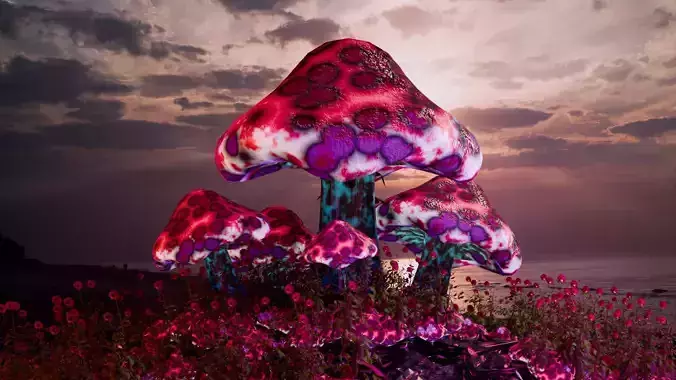 Magic mushroom