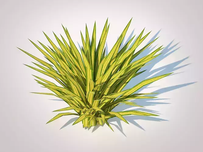plant  Carex siderosticha Banana Boat