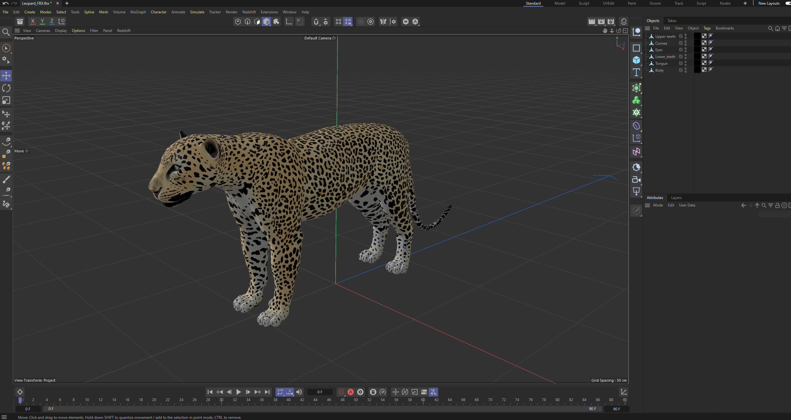 Leopard Low-poly 3D model_16