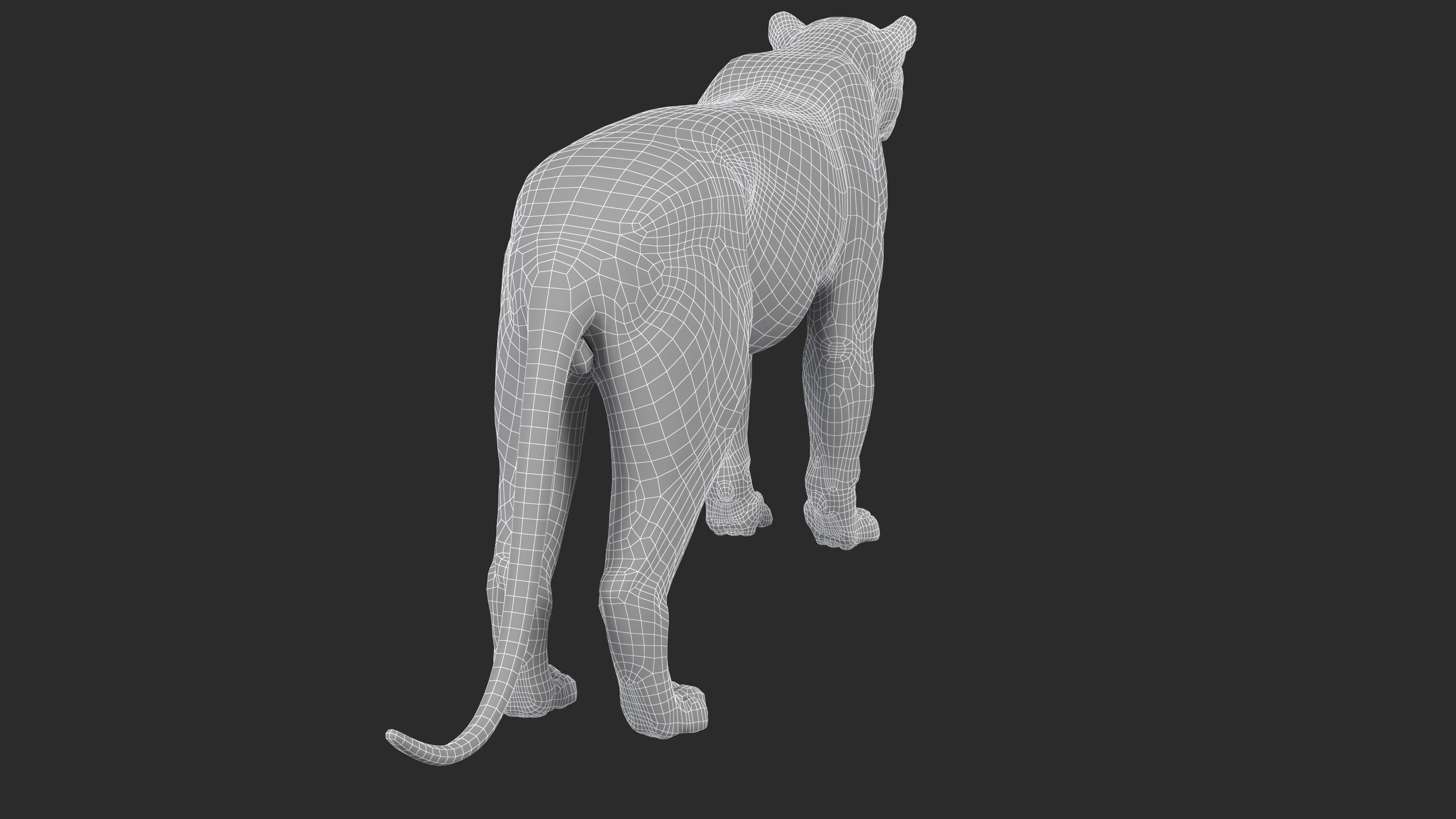Leopard Low-poly 3D model_6