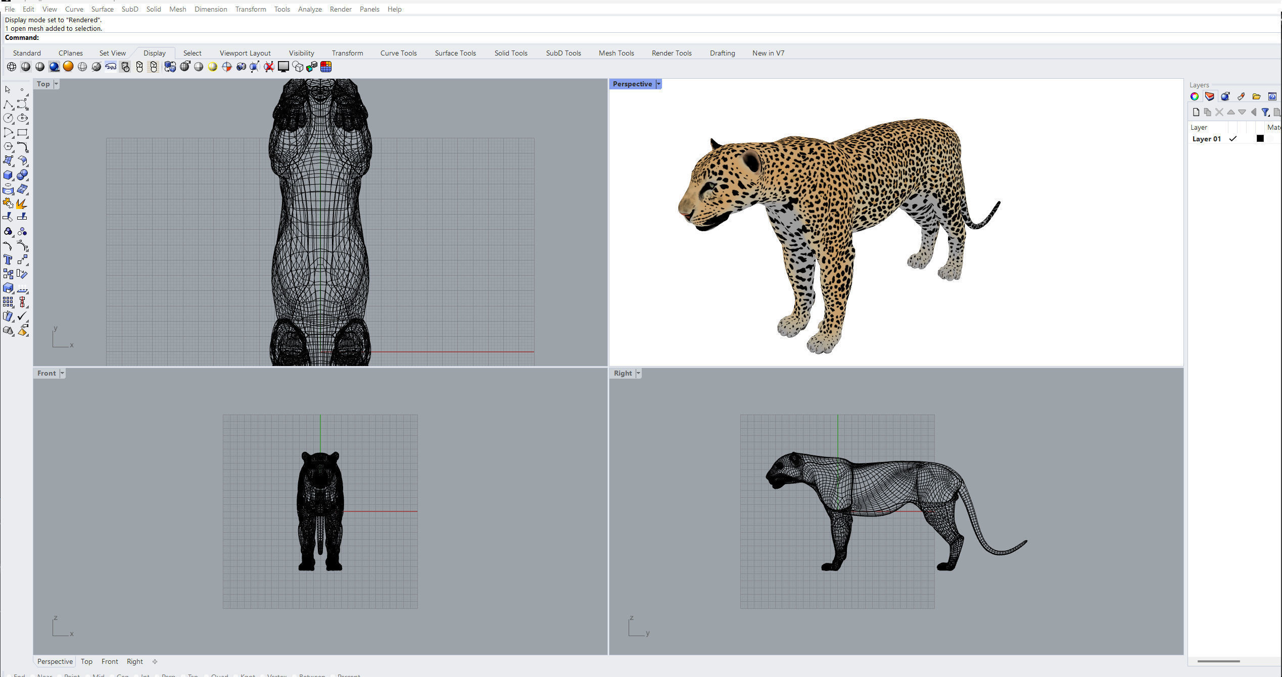 Leopard Low-poly 3D model_19