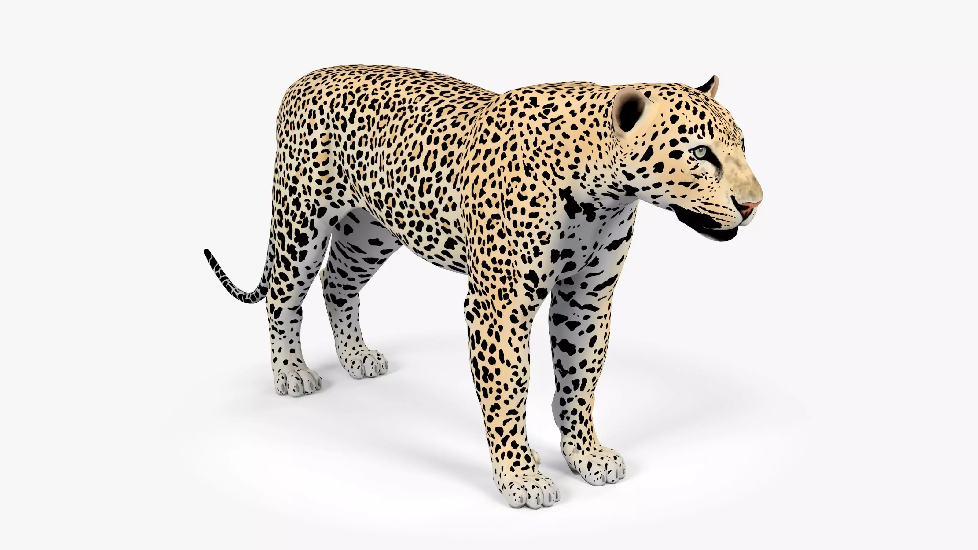 Leopard Low-poly 3D model_0