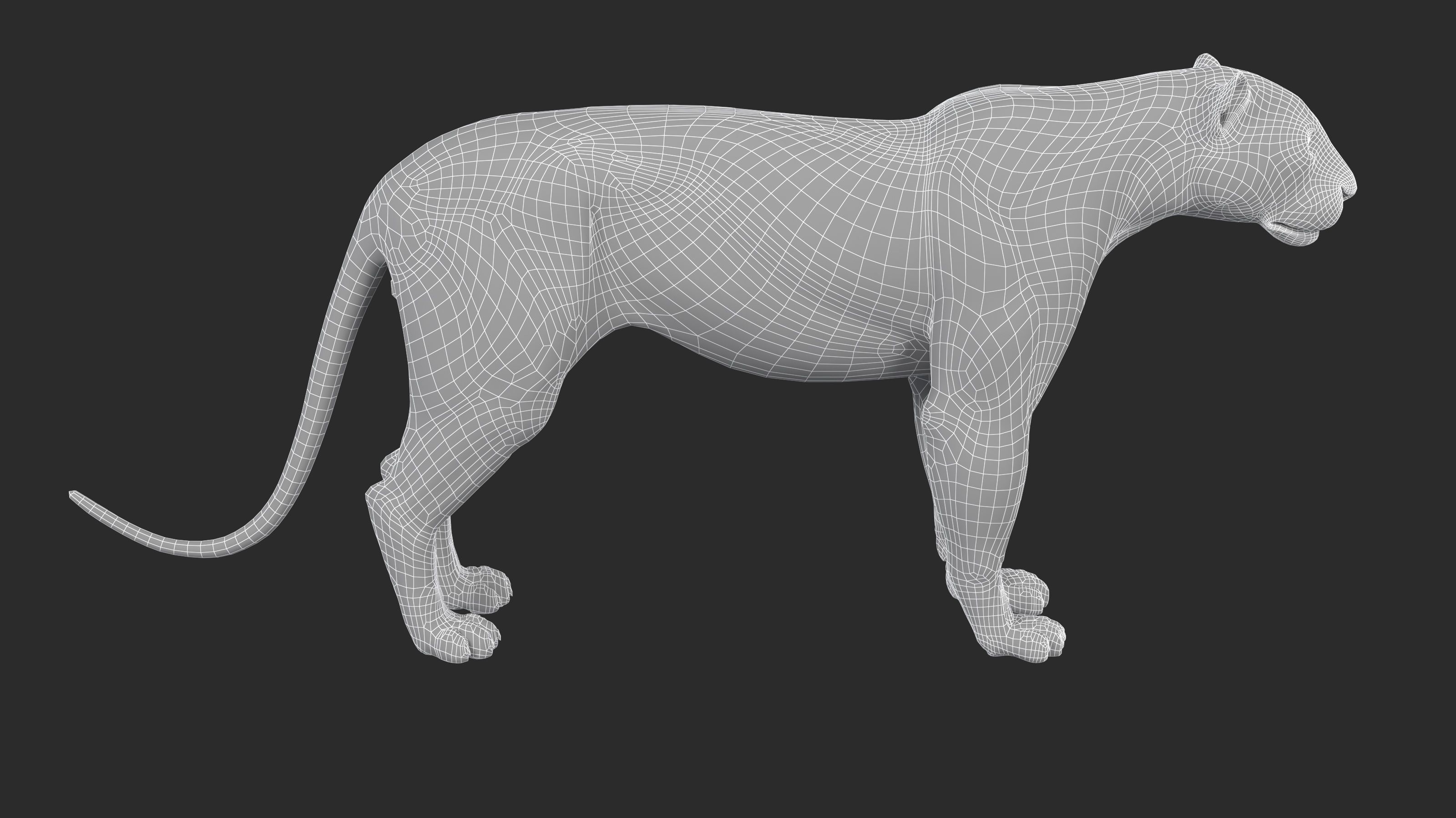 Leopard Low-poly 3D model_9