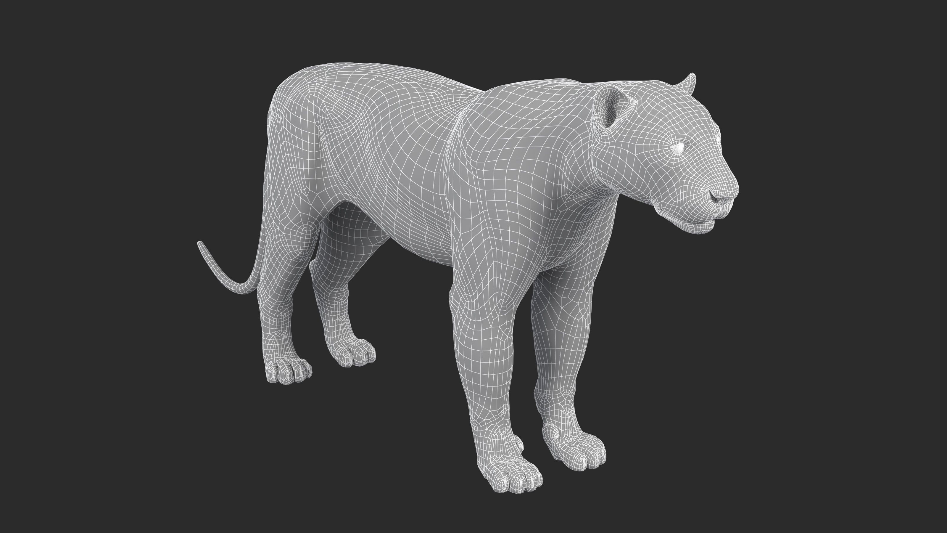 Leopard Low-poly 3D model_5