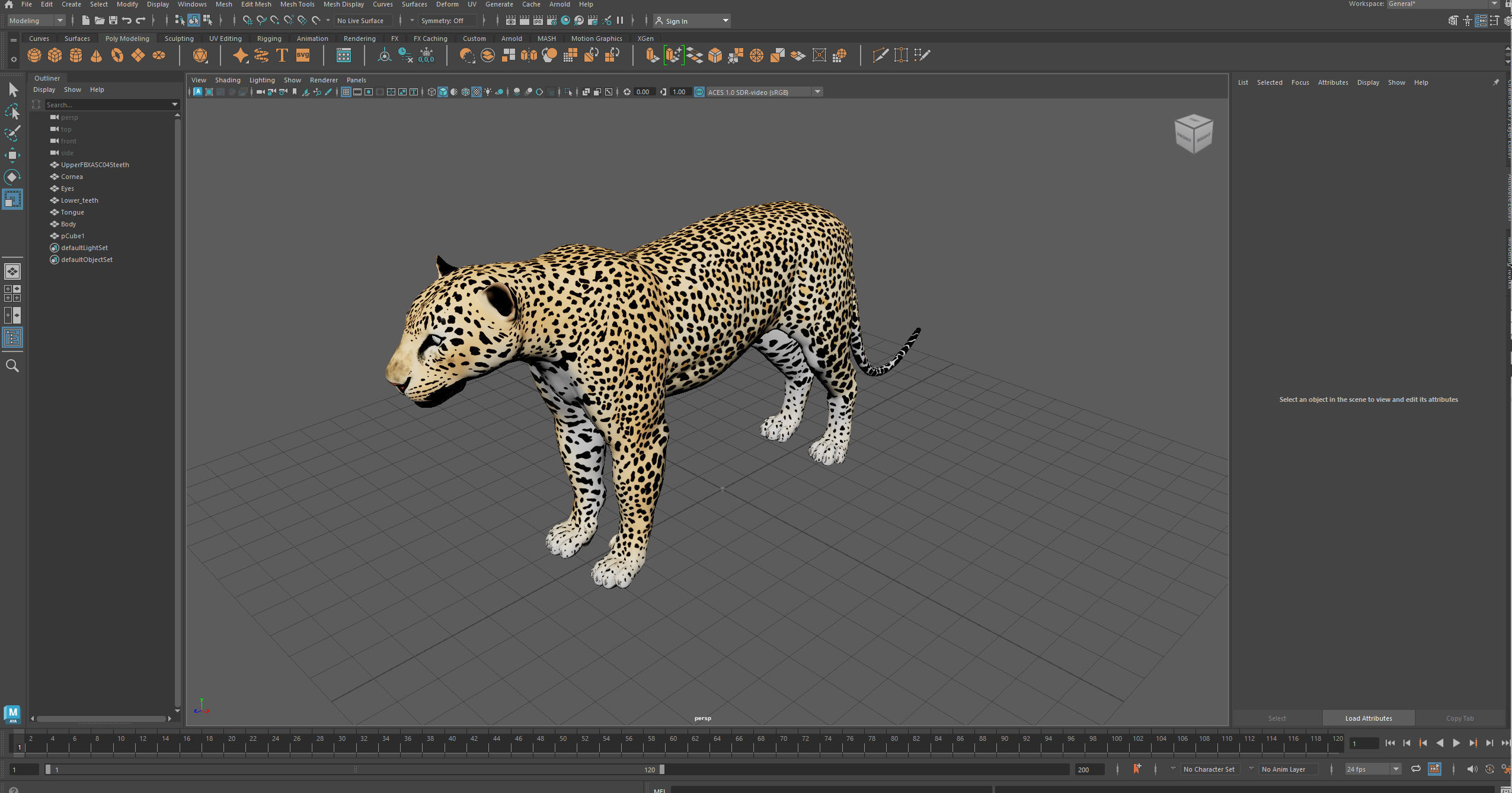 Leopard Low-poly 3D model_14