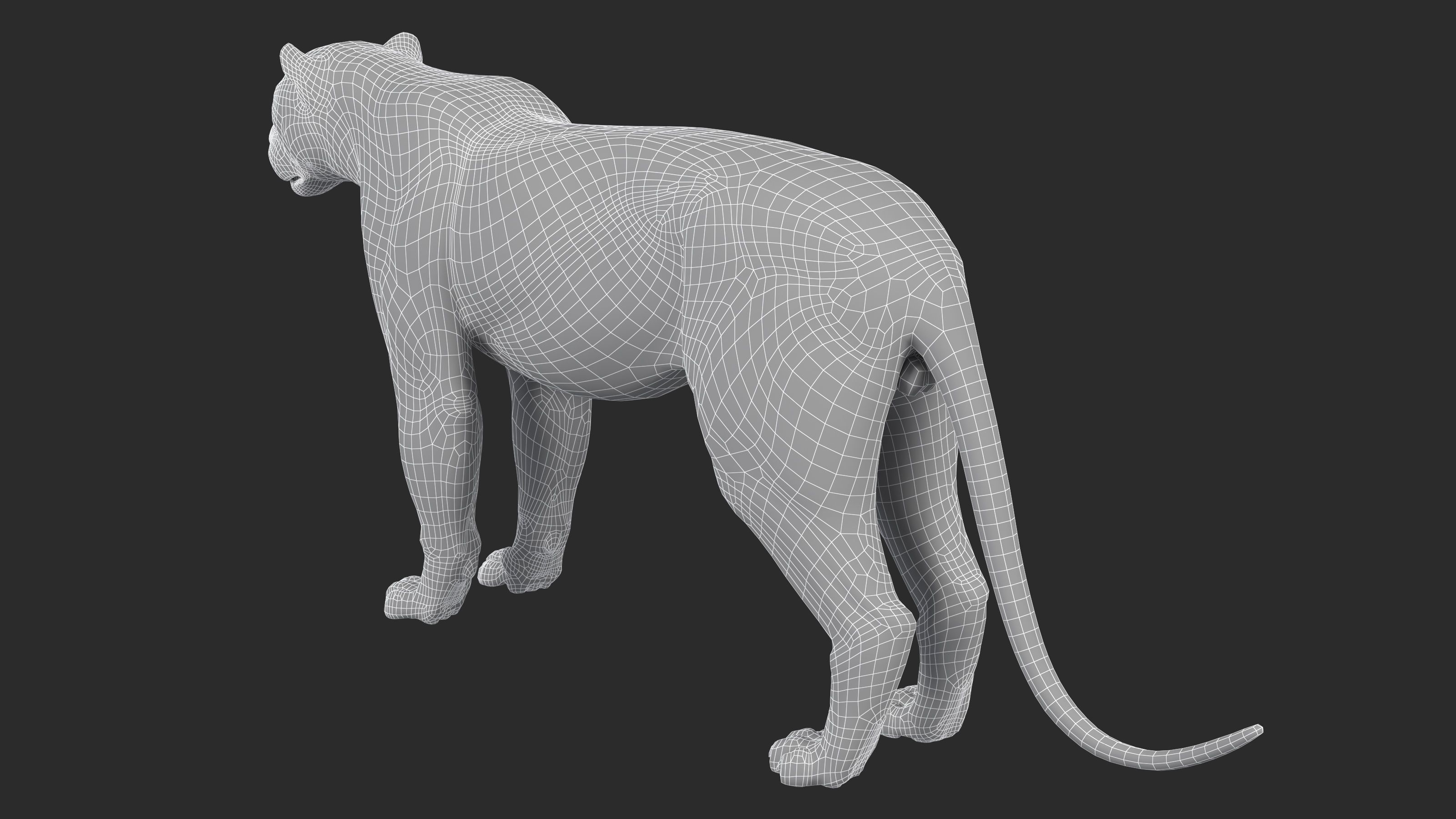 Leopard Low-poly 3D model_8