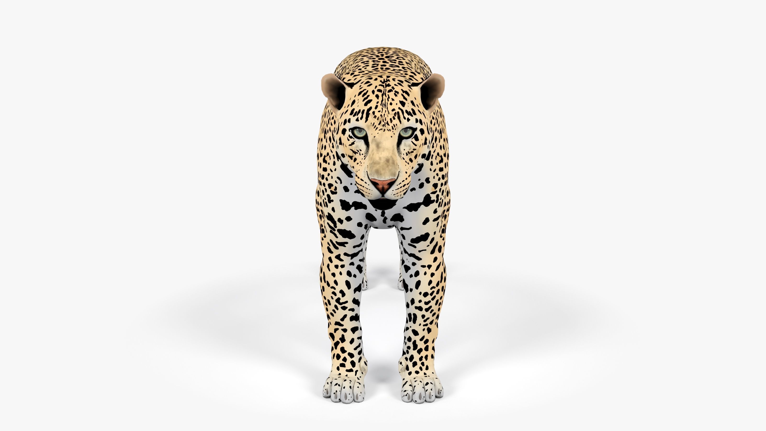 Leopard Low-poly 3D model_1