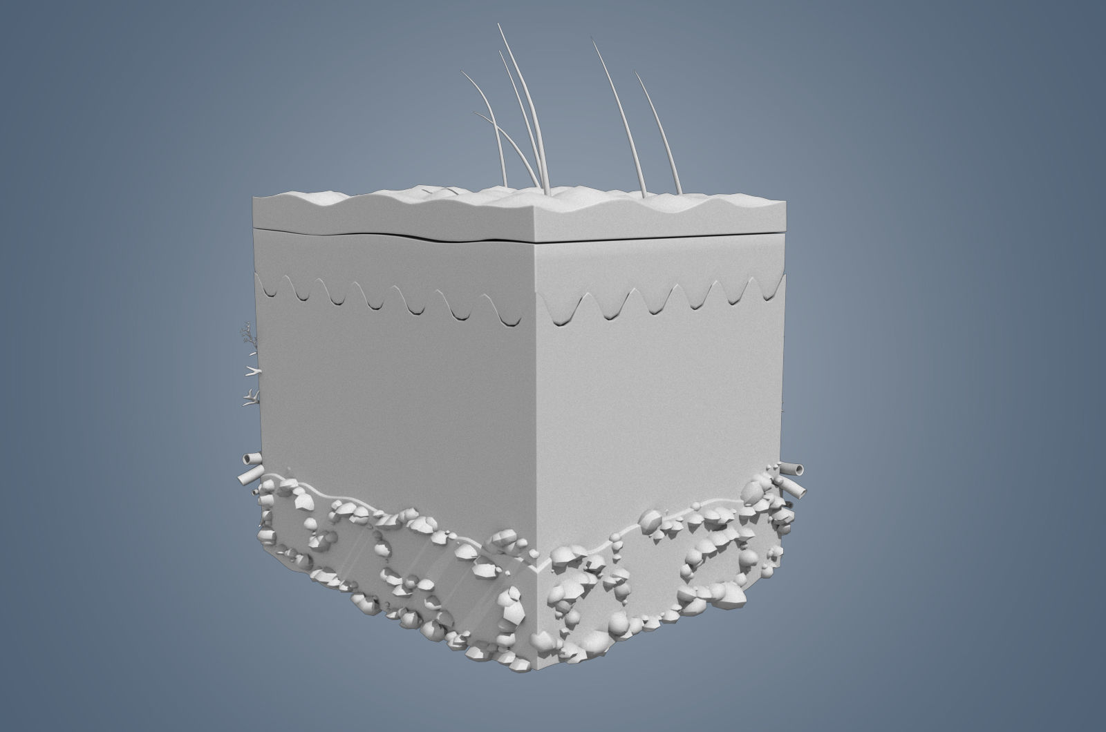 Skin cross sections-damaged skin with 8K textures 3Dmodel Low-poly 3D model_6
