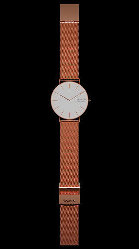SKAGEN Denmark Analog Watch with Mesh strap 3D model