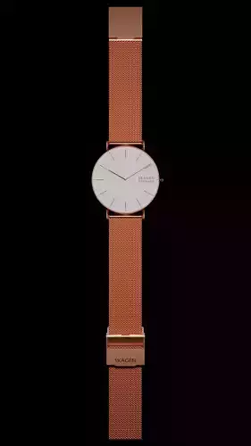 SKAGEN Denmark Analog Watch with Mesh strap