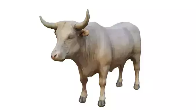 Realistic Cow Bull