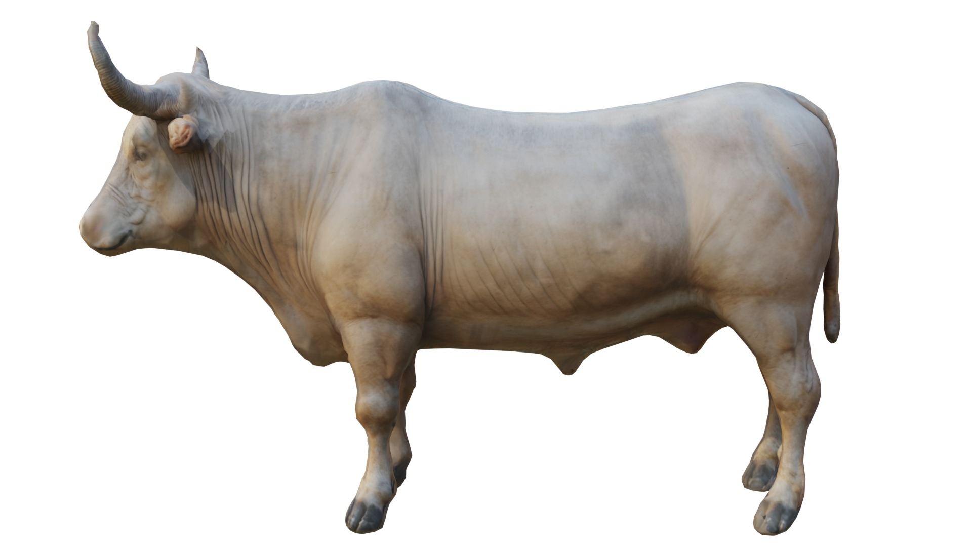 Realistic Cow Bull Low-poly 3D model_1