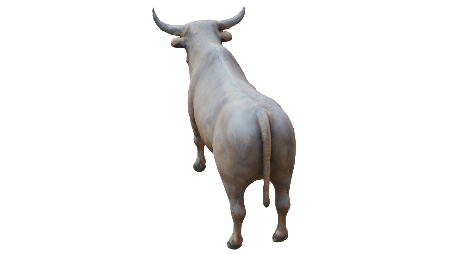 Realistic Cow Bull Low-poly 3D model_4