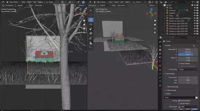 Abadoned House Full Scene