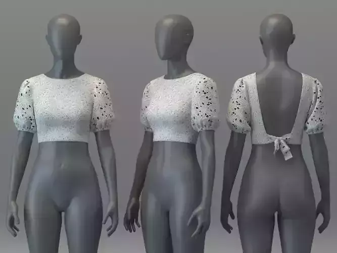 Eyelet Balloon Sleeve Top