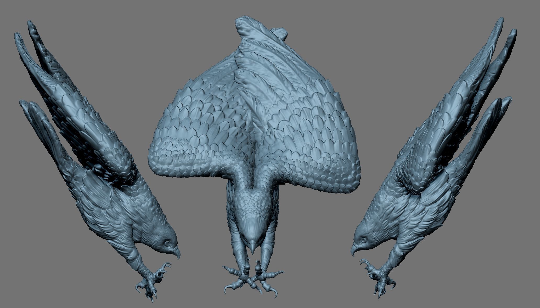 Osprey Sea Hawk 3D print model_5