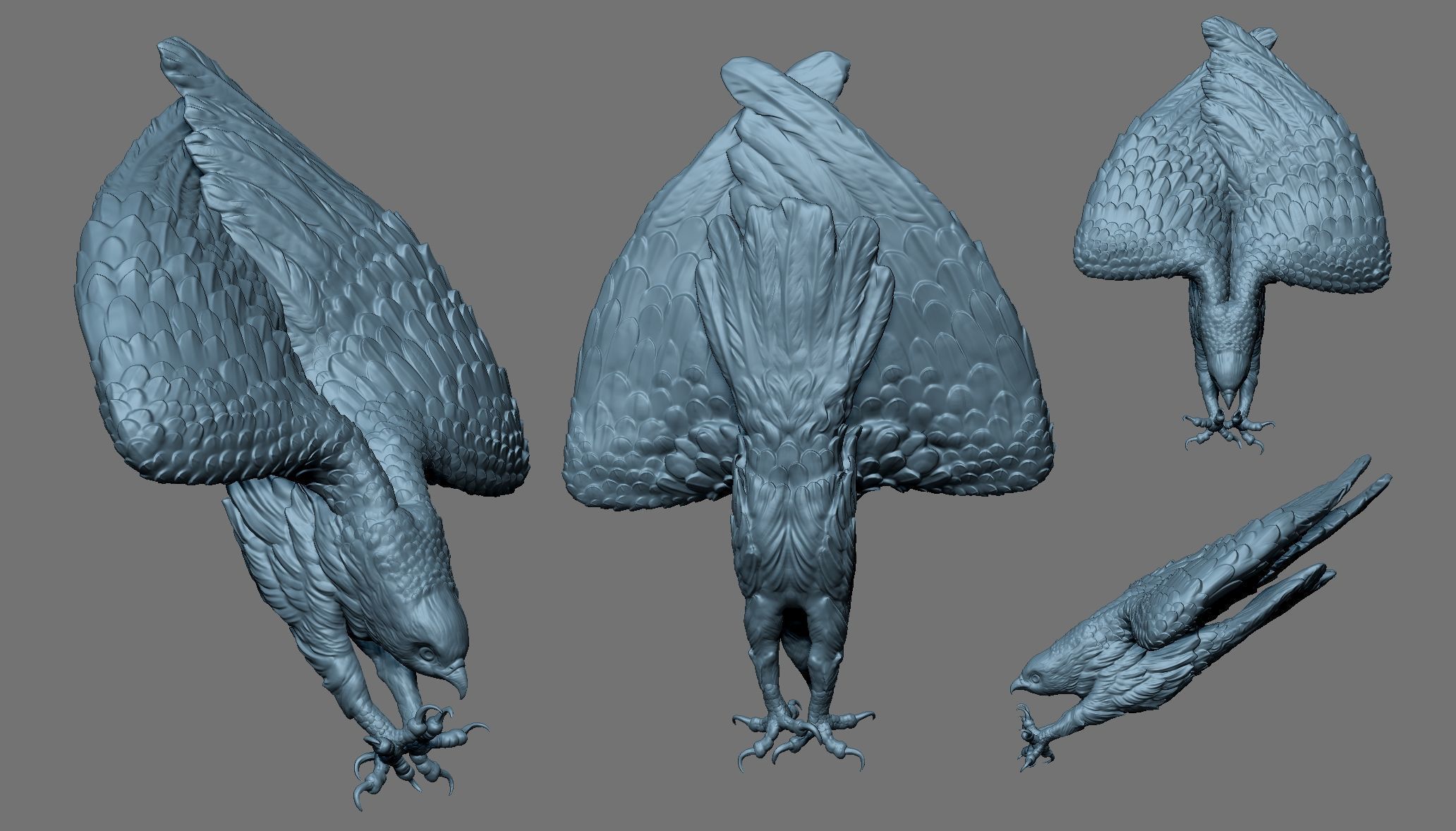 Osprey Sea Hawk 3D print model_6