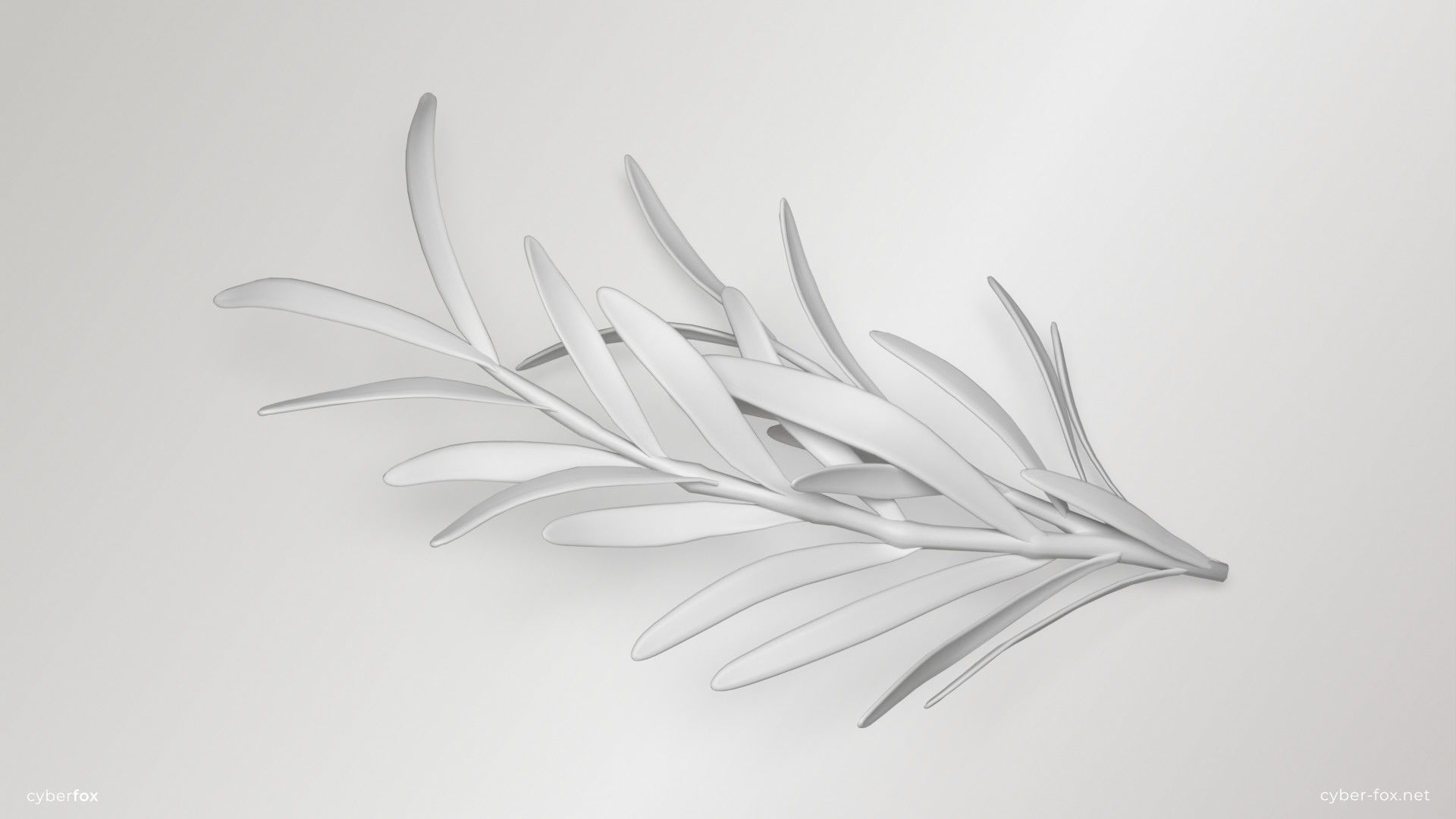 Rosemary Branch Low-poly 3D model_10