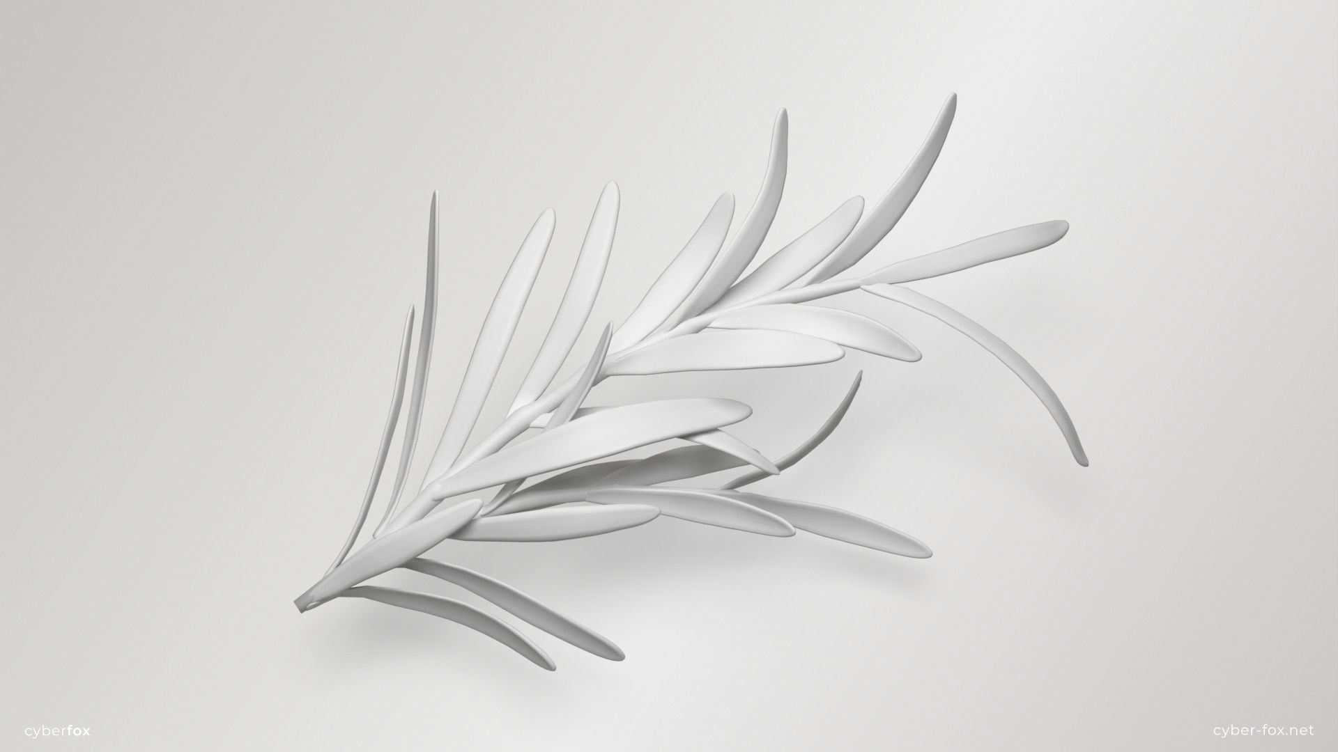 Rosemary Branch Low-poly 3D model_13