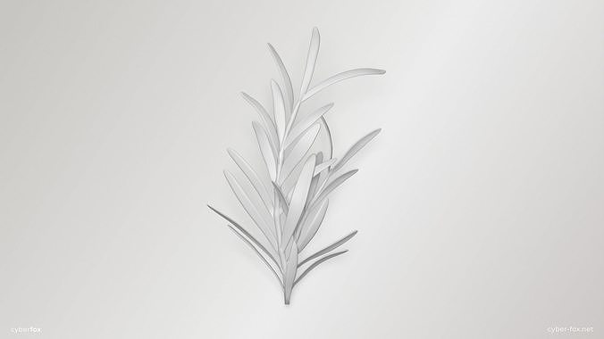 Rosemary Branch Low-poly 3D model 7