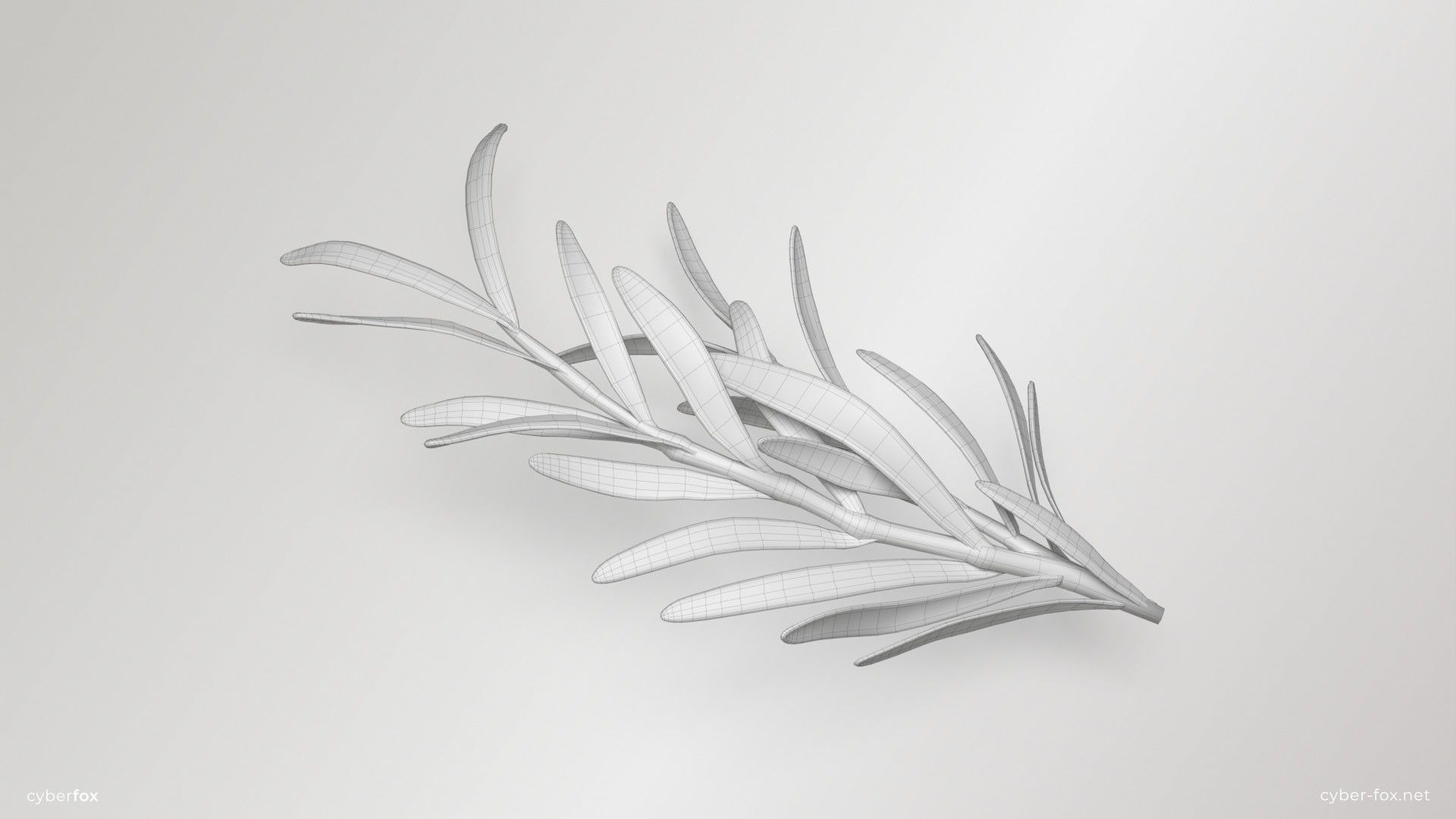 Rosemary Branch Low-poly 3D model_9