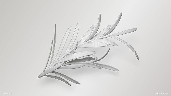 Rosemary Branch Low-poly 3D model 6