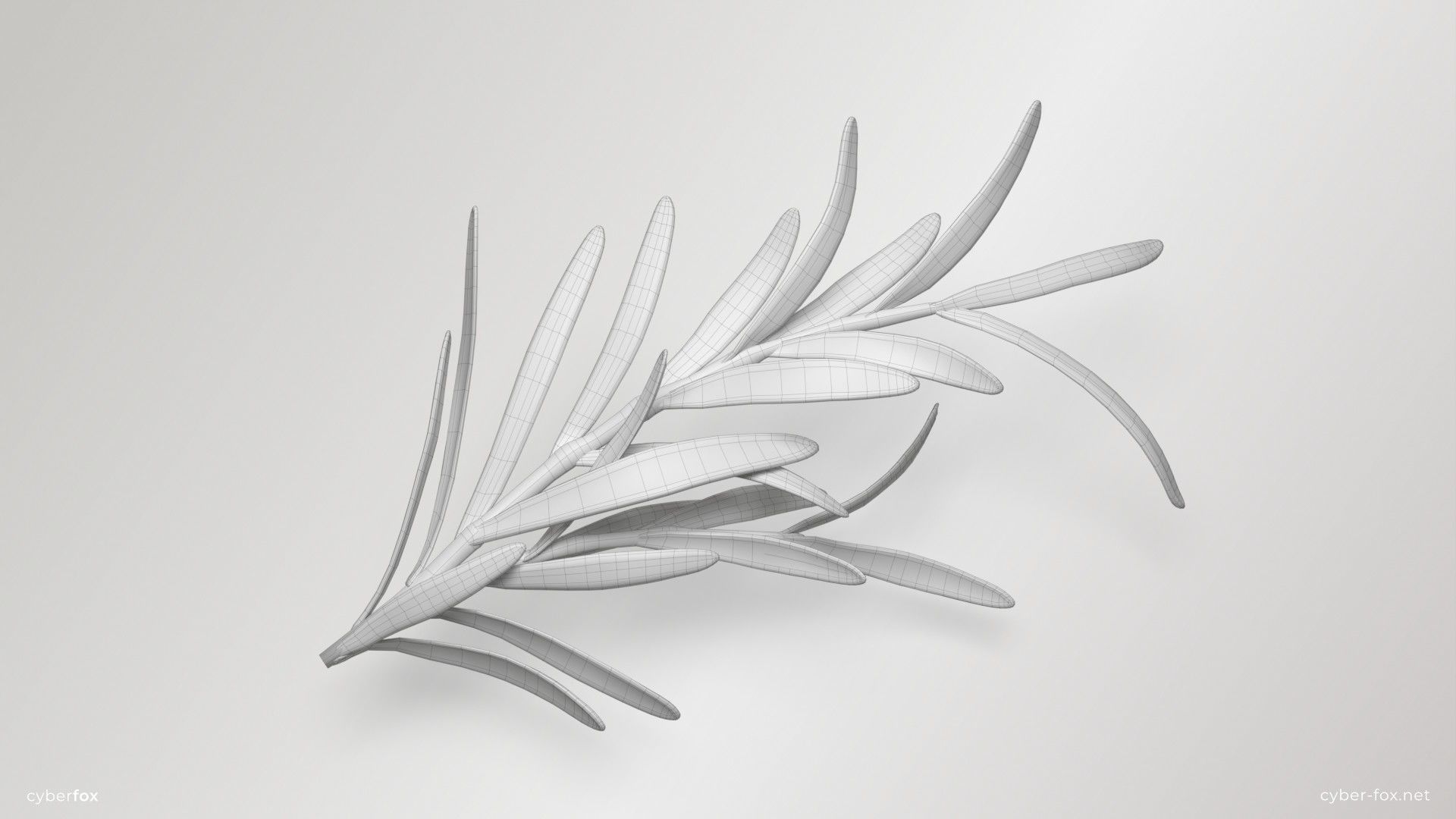 Rosemary Branch Low-poly 3D model_5