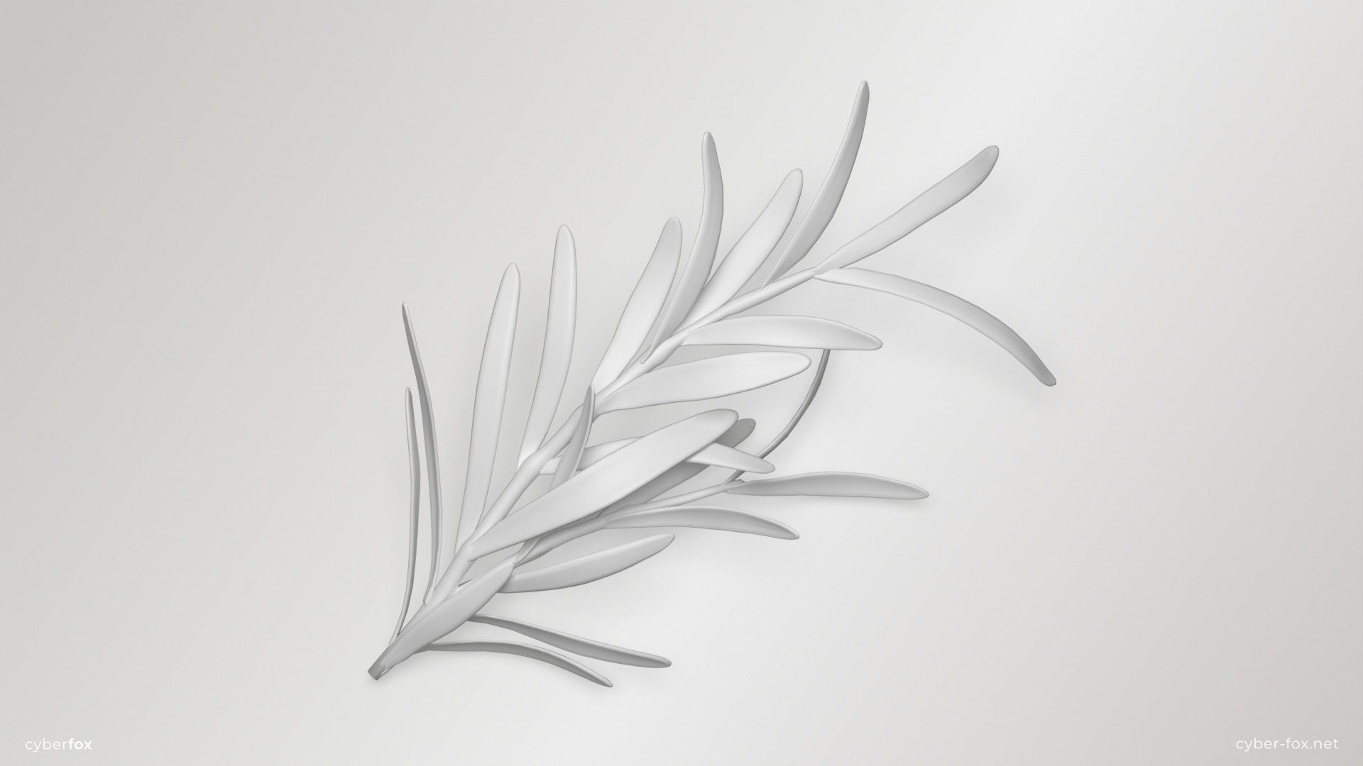 Rosemary Branch Low-poly 3D model_8
