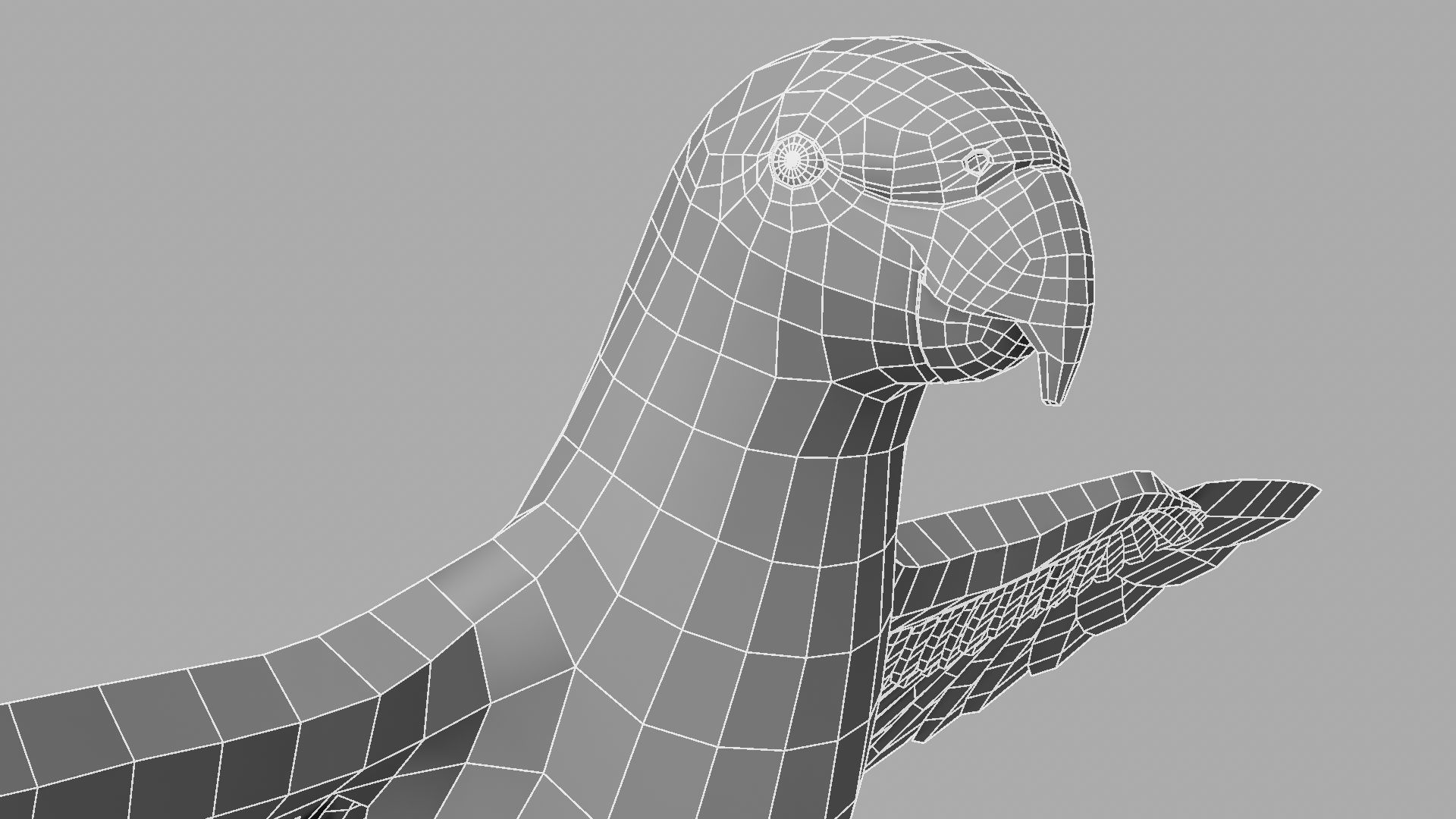 Parrot Rigged and Animated 3D model_30