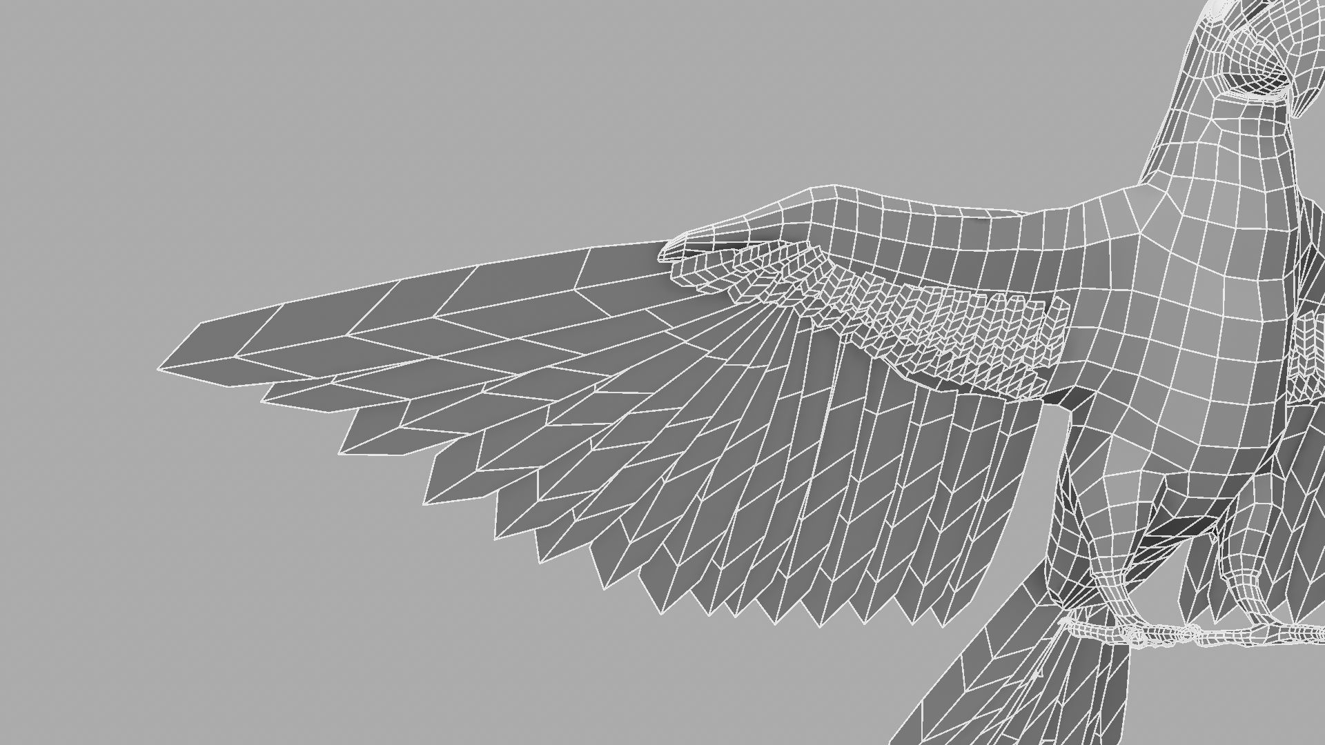 Parrot Rigged and Animated 3D model_29