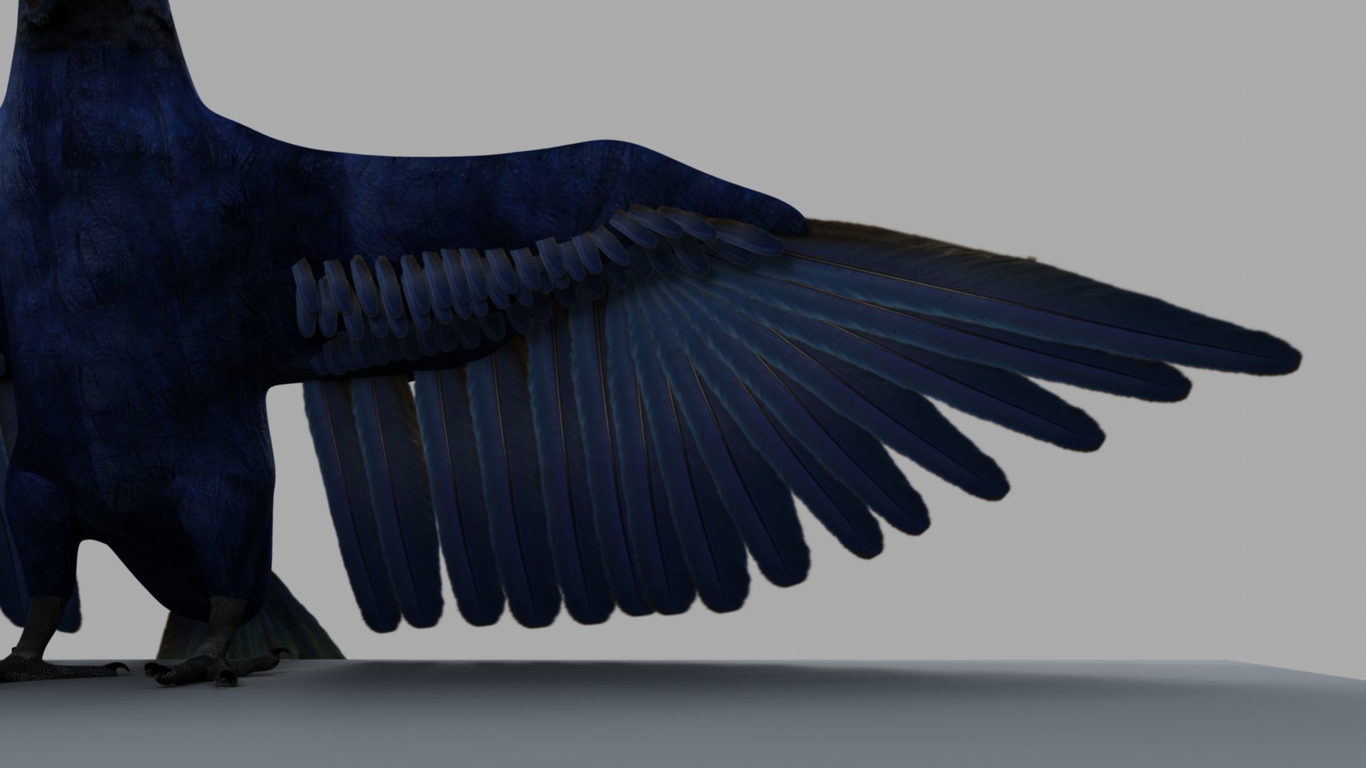 Parrot Rigged and Animated 3D model_11