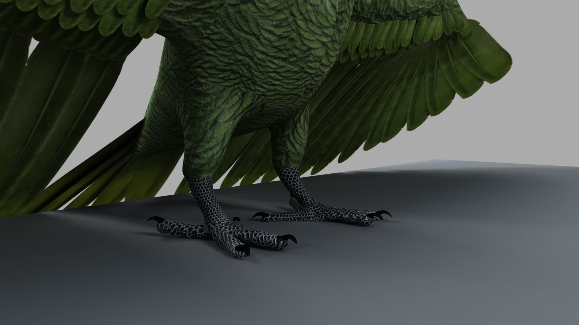 Parrot Rigged and Animated 3D model_59