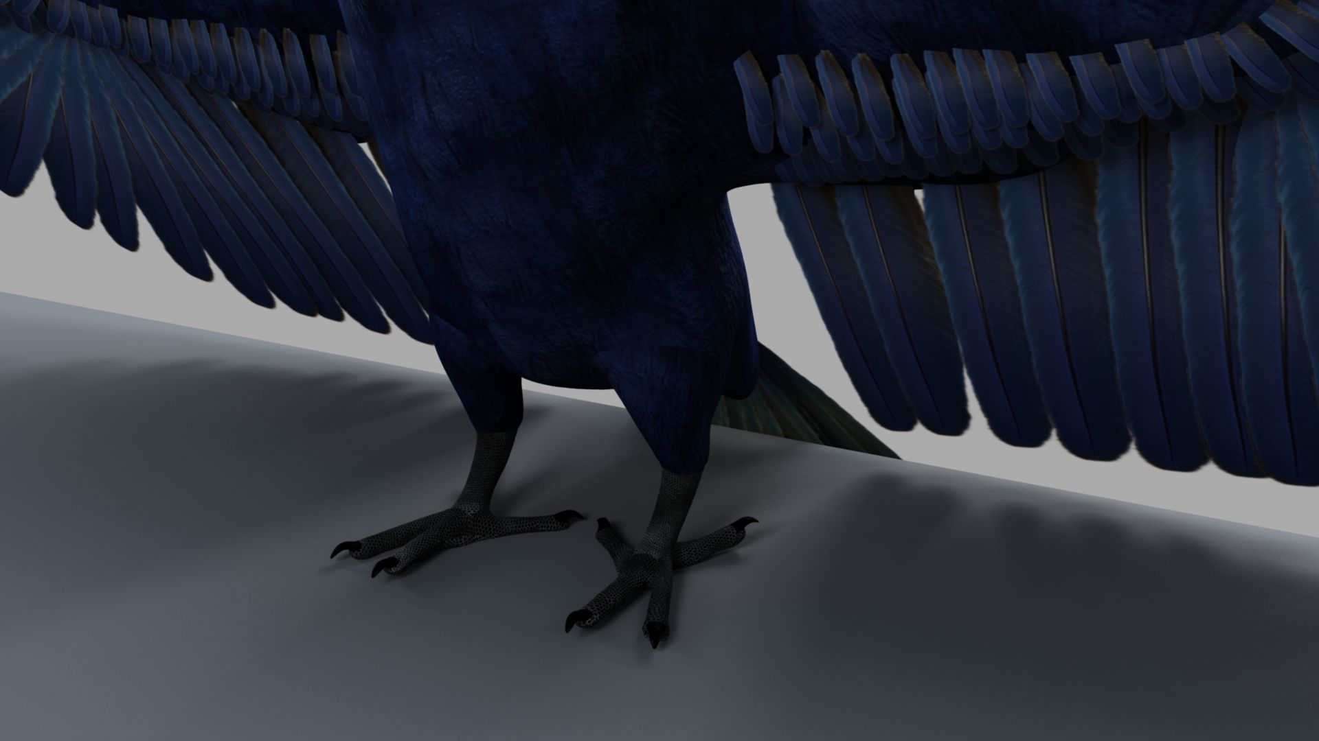 Parrot Rigged and Animated 3D model_5
