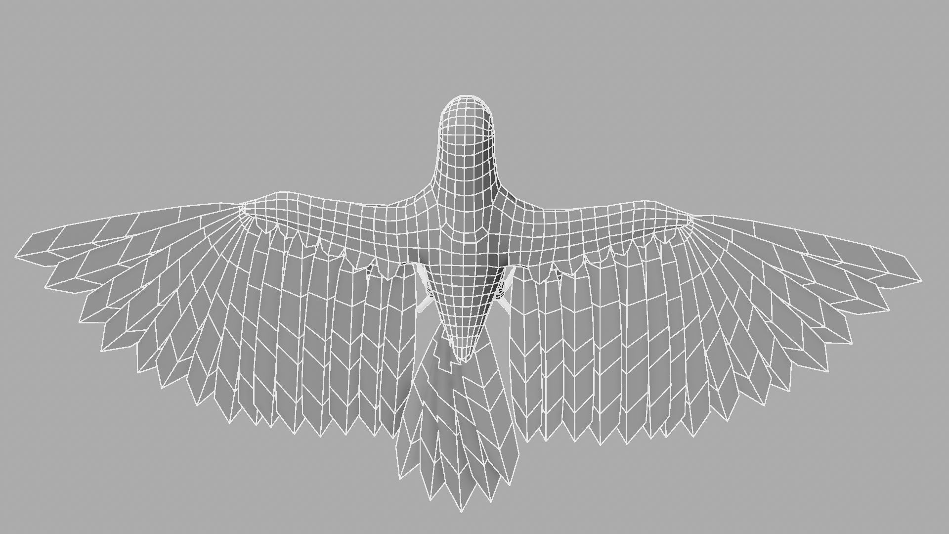 Parrot Rigged and Animated 3D model_34