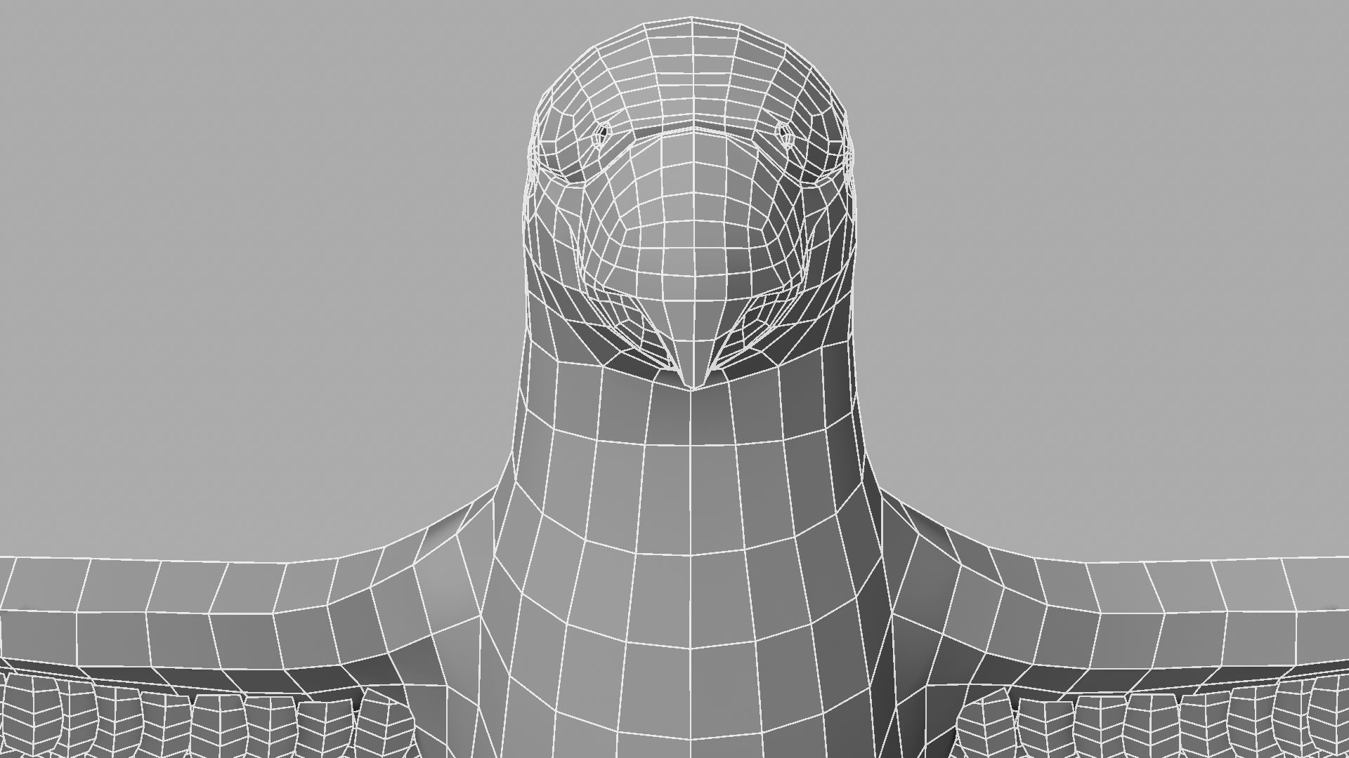 Parrot Rigged and Animated 3D model_38